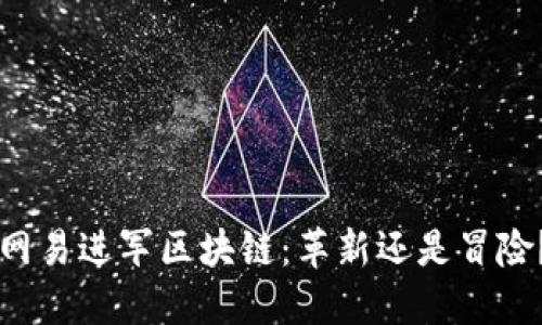 网易进军区块链：革新还是冒险？