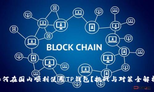 如何在国内顺利使用TP钱包？挑战与对策全解析！