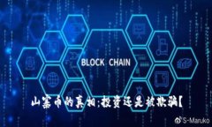 山寨币的真相：投资还是被欺骗？