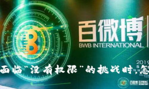 TP钱包：当你面临“没有权限”的挑战时，怎样轻松解决？