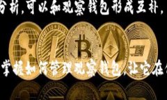   “TP钱包中的观察钱包消失了？别慌，看看这里