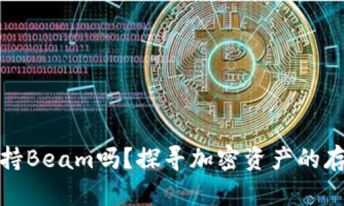 TP钱包支持Beam吗？探寻加密资产的存储新选择