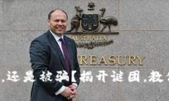 TP钱包买币，还是被骗？揭开谜团，教你聪明投资