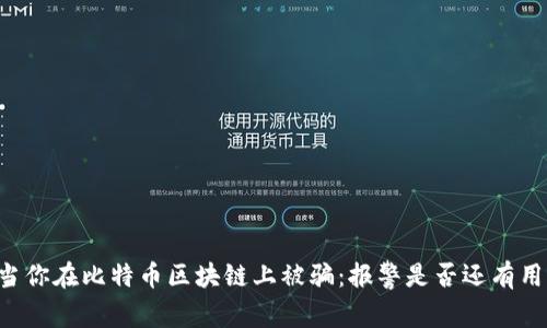 当你在比特币区块链上被骗：报警是否还有用？