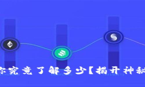 区块链交易透明性：你究竟了解多少？揭开神秘面纱，拥抱数字未来！