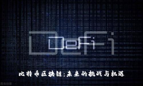 比特币区块链：未来的挑战与机遇