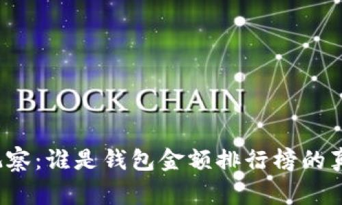 揭秘TP观察：谁是钱包金额排行榜的真正赢家？