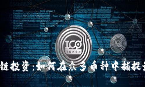 选择区块链投资：如何在众多币种中捕捉最佳机会？