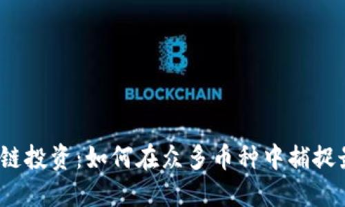 选择区块链投资：如何在众多币种中捕捉最佳机会？