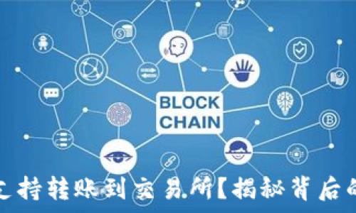   
TP钱包为何不再支持转账到交易所？揭秘背后的真相与应对策略