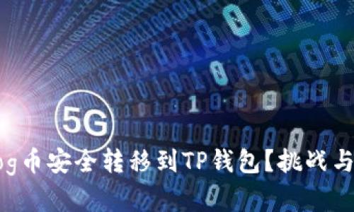 如何将Dog币安全转移到TP钱包？挑战与实操指南