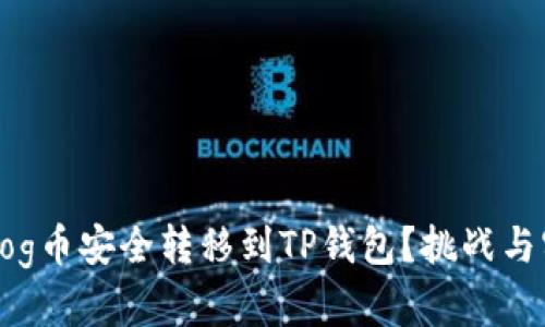 如何将Dog币安全转移到TP钱包？挑战与实操指南