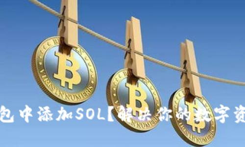 如何在TP钱包中添加SOL？解决你的数字资产管理难题