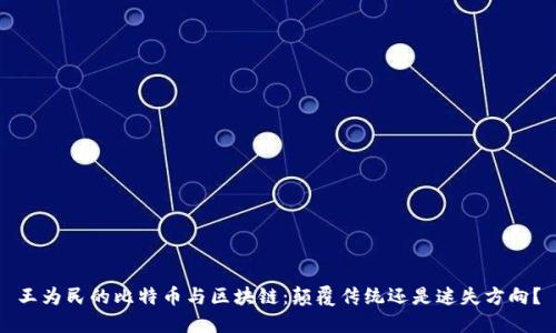 王为民的比特币与区块链：颠覆传统还是迷失方向？