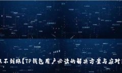 转账不到账？TP钱包用户必读的解决方案与应对策