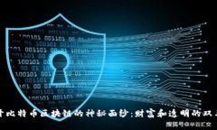 揭开比特币区块链的神秘面纱：财富和透明的双