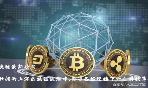 上海区块链最新项目

在波澜壮阔的上海区块链浪潮中，你准备好迎接下一个科技革命了吗？