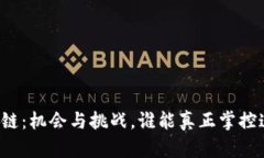 比特币区块链：机会与挑战，谁能真正掌控这把