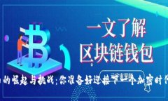 莱特币的崛起与挑战：你准备好迎接下一个加密