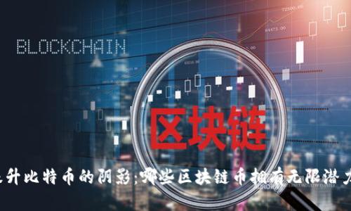 跃升比特币的阴影：哪些区块链币拥有无限潜力？