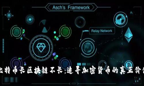 比特币长区块链不长：追寻加密货币的真正价值