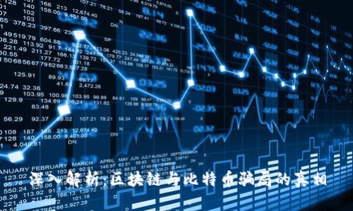 深入解析：区块链与比特币骗局的真相