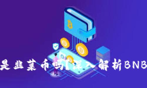 BNB区块链是韭菜币吗？深入解析BNB的真实价值