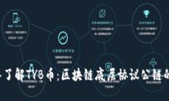  深入了解TYB币：区块链底层协议公链的未来