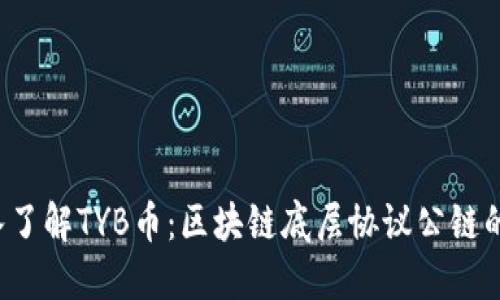  深入了解TYB币：区块链底层协议公链的未来