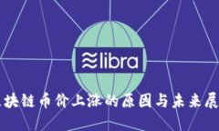 区块链币价上涨的原因与未来展望