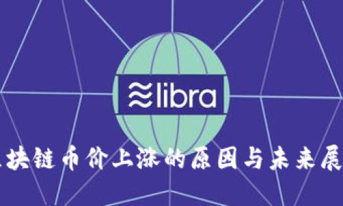 区块链币价上涨的原因与未来展望