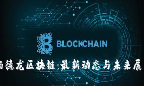 杨德龙区块链：最新动态与未来展望