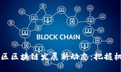 2023年东山区区块链发展新动态：把握机遇，迎接