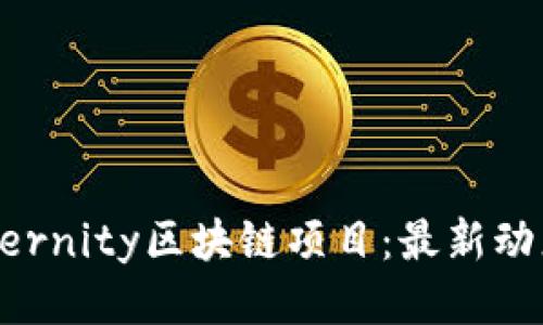 深入探索Aeternity区块链项目：最新动态与未来趋势