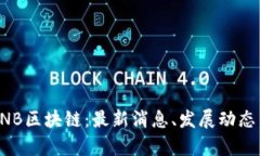 深度解析TNB区块链：最新消息、发展动态与未来