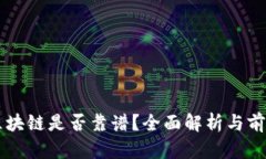 无币区块链是否靠谱？全面解析与前景展望