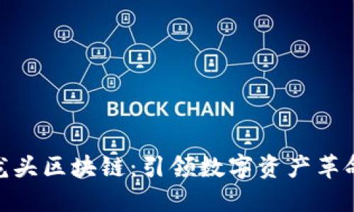 : 币圈龙头区块链：引领数字资产革命的先锋