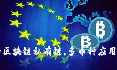 构建高效的区块链私有链，多币种应用的最佳实践