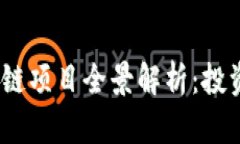 2021年最新区块链项目全景解析：投资机遇与市场