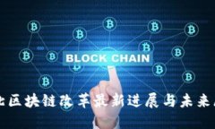 河北区块链改革最新进展与未来展望
