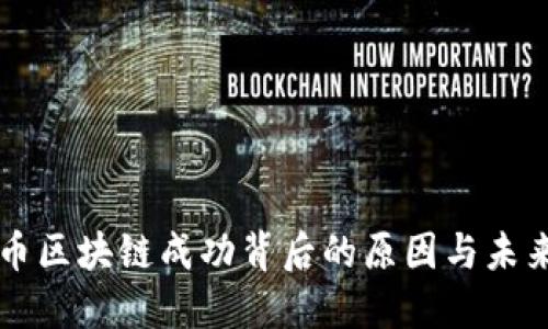 维卡币区块链成功背后的原因与未来展望