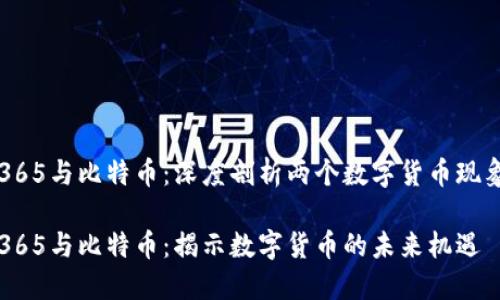 区块链365与比特币：深度剖析两个数字货币现象的未来

区块链365与比特币：揭示数字货币的未来机遇