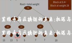 探索莱特币与区块链的未来：机遇与挑战探索莱