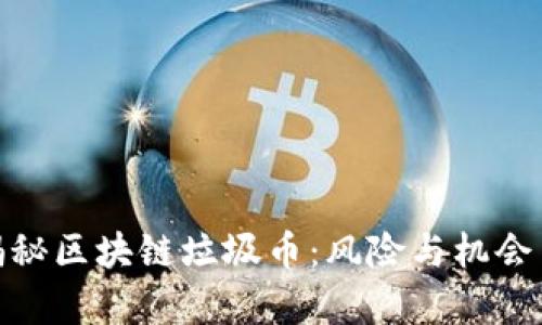 : 揭秘区块链垃圾币：风险与机会并存