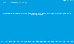 深入了解中国区块链币圈学院的教育体系与发展