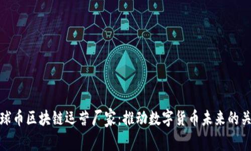 环球币区块链运营厂家：推动数字货币未来的关键