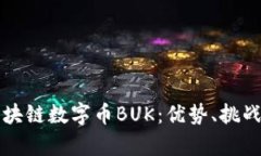 深入解析区块链数字币BUK：优势、挑战与未来发