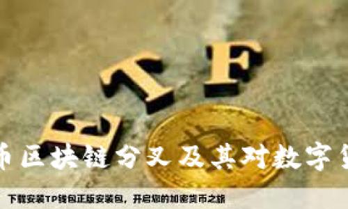 深入探讨比特币区块链分叉及其对数字货币生态的影响