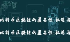 探究比特币区块链的匿名性：机遇与挑战探究比