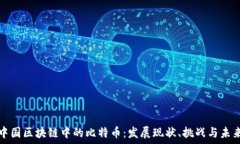   中国区块链中的比特币：发展现状、挑战与未来